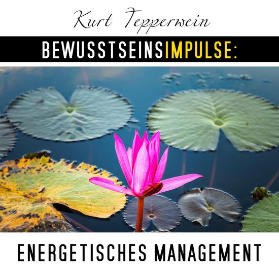 Bewusstseinsimpulse: Energetisches Management - cover