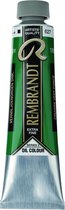 Rembrandt Olieverf | Cinnabar Green Deep (627) 15 ml