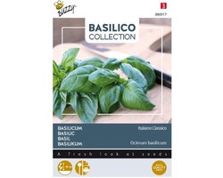 Basilico Italiano Classico