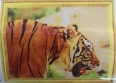 Diamond Painting 50 X 40 - Tijger - Volledige bedekking, Complete set 018