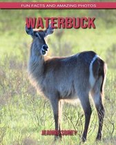 Waterbuck
