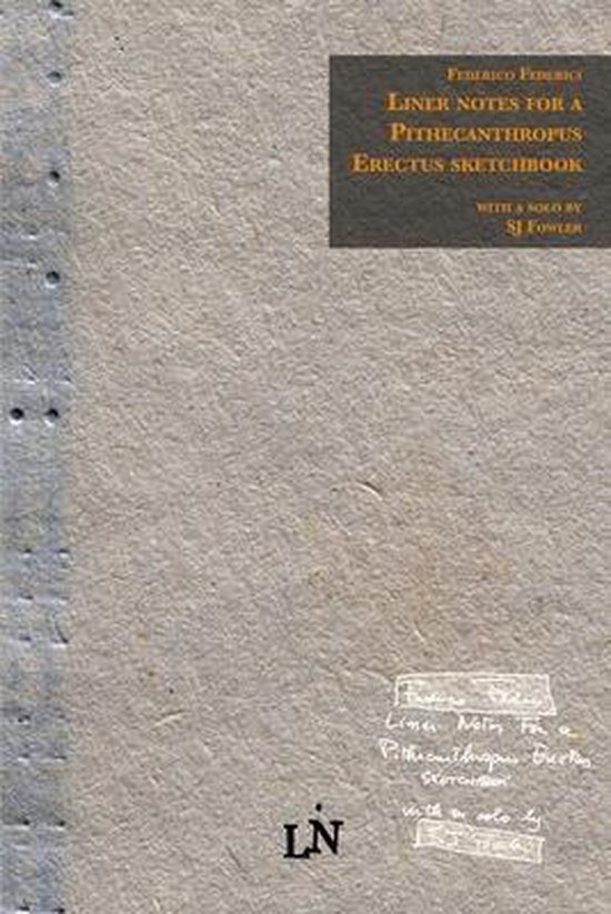 Asemic Writing and Other Visual Metrics- Liner notes for a Pithecanthropus Erectus sketchbook