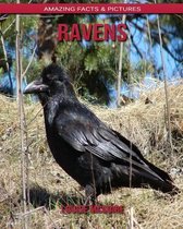 Ravens