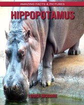 Hippopotamus