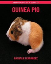 Guinea pig