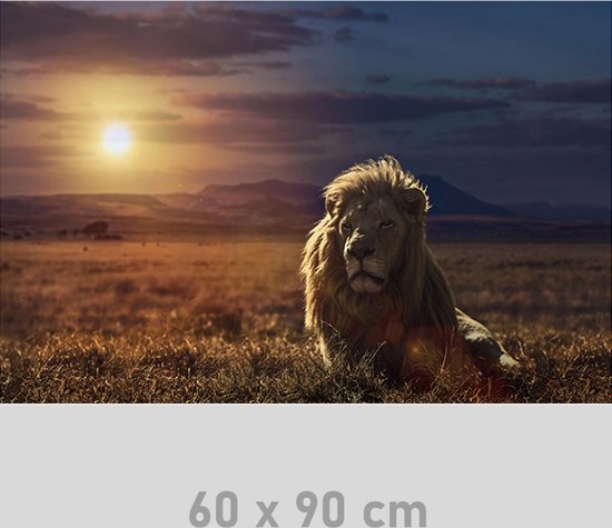 Peinture sur toile * Lion sauvage au coucher du soleil en Afrique * - Moderne - Couleur - 60 x 90 cm