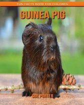 Guinea pig