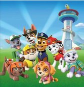 Paw Patrol 2