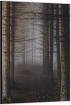 Dibond –Grauw Bos– 40x60cm Foto op Aluminium (Wanddecoratie van metaal)