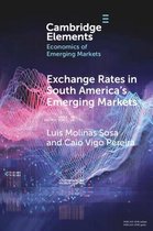 Elements in the Economics of Emerging Markets- Exchange Rates in South America's Emerging Markets