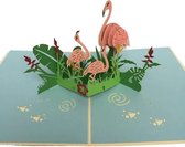 pop-up flamingo kaart met envelop  wenskaart felicitatie kaart ansichtkaarten