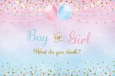 Geboorte - Versiering - Babyshower - Gender Reveal - Geslacht onthulling - Raam - Poster - Wanddoek - Banner van Polyester - 150cm (Breed) x 100cm (Hoog) - Jongen / Meisje - Boy /