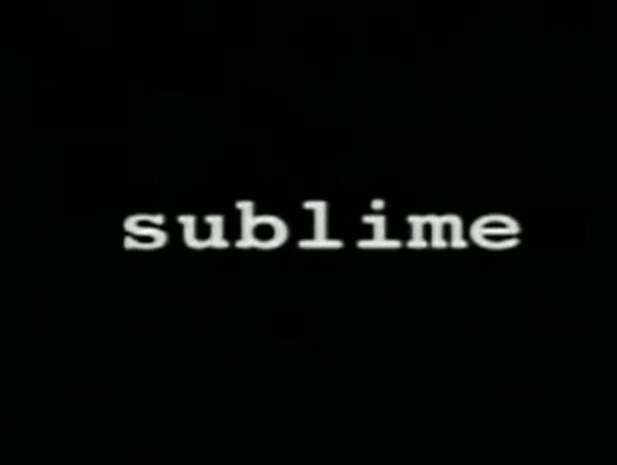 (未使用･未開封品)Stories Tales Lies &amp; Exaggerations [DVD] Sublime – Stories, Tales, Lies & Exaggerations – DVD (DVD-Video