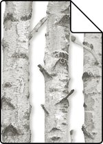 Proefstaal ESTAhome behangpapier berken boomstammen licht warm grijs - 138889 - 26,5 x 21 cm