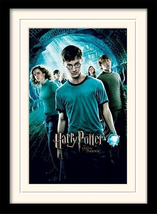 Poster - Harry Potter Mounted & Order The Phoenix - 40 X 30 Cm - Multicolor
