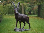 Tuinbeeld - bronzen beeld - Staande steenbok - 120 cm hoog