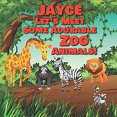 Jayce Let's Meet Some Adorable Zoo Animals!