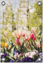 Tuinposter –Gekleurde Tulpen– 100x150  Foto op Tuinposter (wanddecoratie voor buiten en binnen)