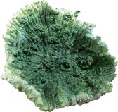 Ferplast BLU 9137 Koraal groen large