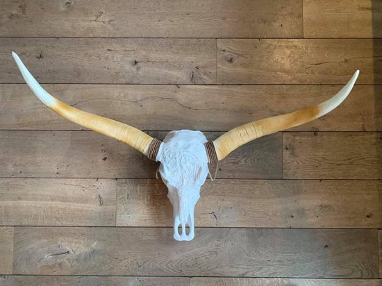 Longhorn skull gegraveerd | 1 meter | Ducan