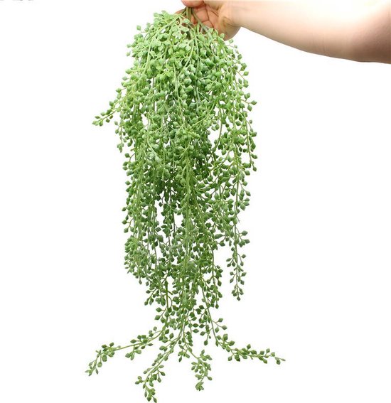 George Stevenson Ijveraar Subtropisch Emerald - Senecio Hangplant - Kamerplant - Kunstplant - 70cm Lengte - 7,5cm  Breedte -... | bol.com