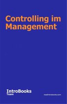 Controlling im Management