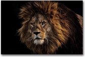 MN Collections - Schilderij - Animal Photography. - Zwart, Wit En Bruin - 75 X 50 Cm