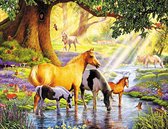 HappyHobby Diamond Painting Paarden in Natuur - 45x55cm