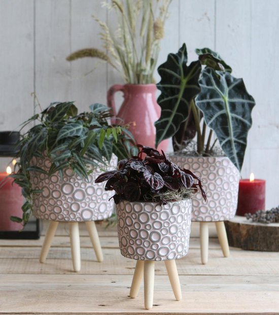 Bloempot met pootjes ⌀ 24 cm x 44,5 cm | Plantenbak met 4 houtlook pootjes | Afdekpotten voor binnen en buiten | Plantenpot stijlvolle decoratie voor huis en tuin | Antraciet