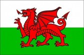 vlag Wales 70x100cm