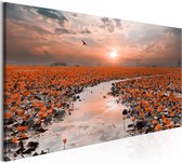 Schilderijen Op Canvas - Schilderij - Lily Pathway (1 Part) Narrow 120x40 - Artgeist Schilderij