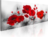 Schilderijen Op Canvas - Schilderij - Grey Garden 120x40 - Artgeist Schilderij