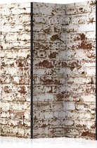 Kamerscherm - Scheidingswand - Vouwscherm - Vestige of Time [Room Dividers] 135x172 - Artgeist Vouwscherm