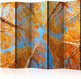 Kamerscherm - Scheidingswand - Vouwscherm - Autumnal treetops II [Room Dividers] 225x172 - Artgeist Vouwscherm