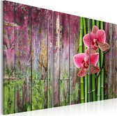 Schilderijen Op Canvas - Schilderij - Flower and bamboo 90x60 - Artgeist Schilderij
