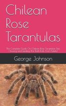 Chilean Rose Tarantulas