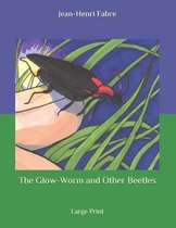The Glow-Worm and Other Beetles