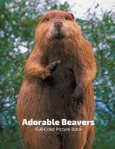 Adorable Beavers Full-Color Picture Book