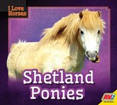 Shetland Ponies