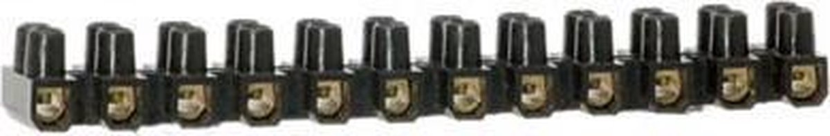 Kroonsteen 1X 12-wegs 1 0 - 4 0 mmÃ‚Â² > 6A 1X