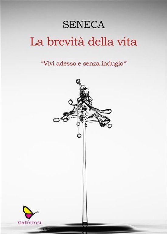 La brevità della vita (ebook), Lucio Anneo Seneca 9788835810483 Boeken La brevità della vita (ebook), Lucio Anneo Seneca 9788835810483 Boeken