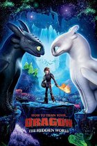 How To Train Your Dragon Poster 61x91.5cm