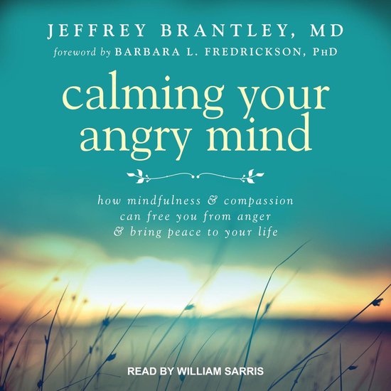 Calming Your Angry Mind - cover