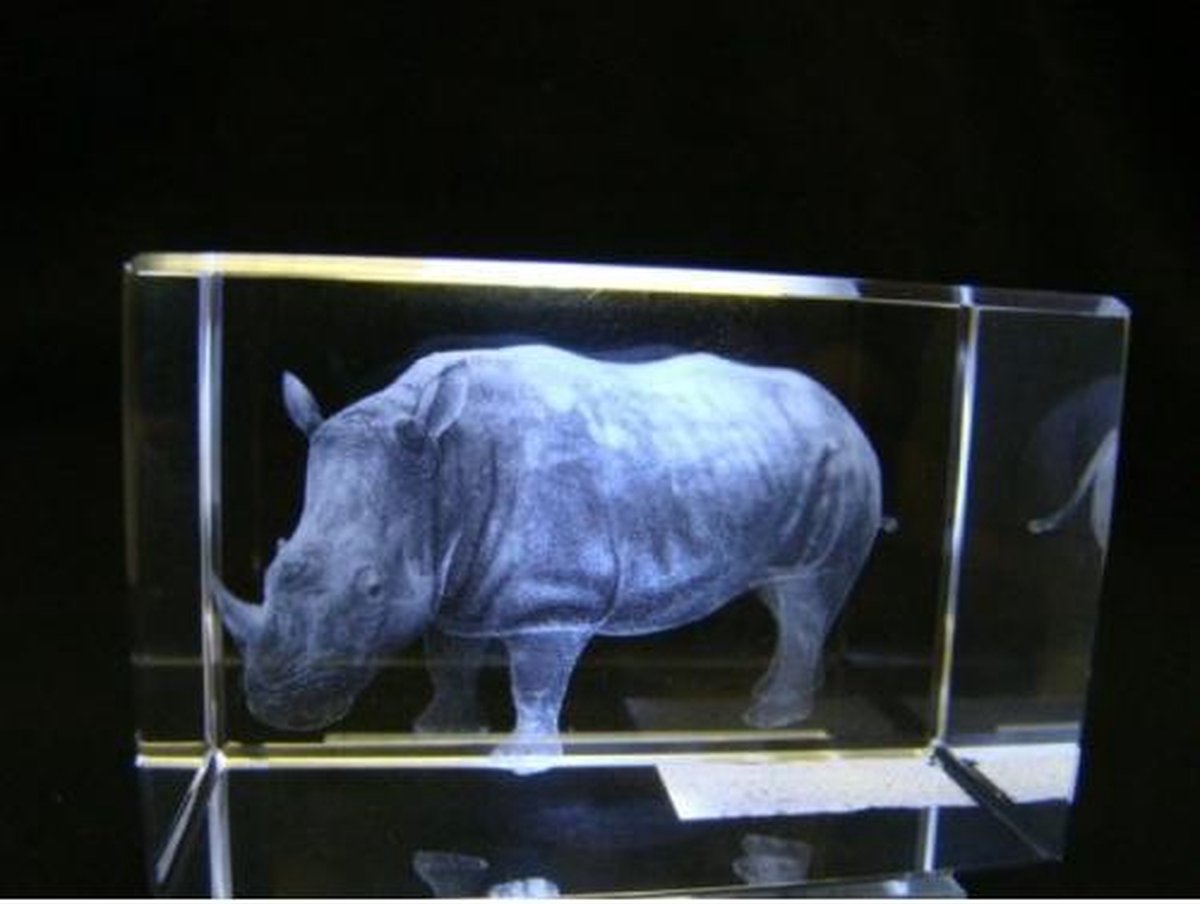 3D lasergravure neushoorn – Glasblokje – 8 x 5 x 5 cm – In geschenkdoosje