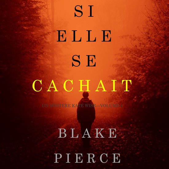 Si elle se cachait (Un mystère Kate Wise—Volume 4) - cover