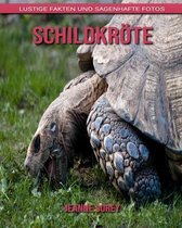 Schildkroete