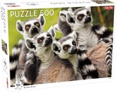 Puzzel Animals: Lemurs - 500 stukjes