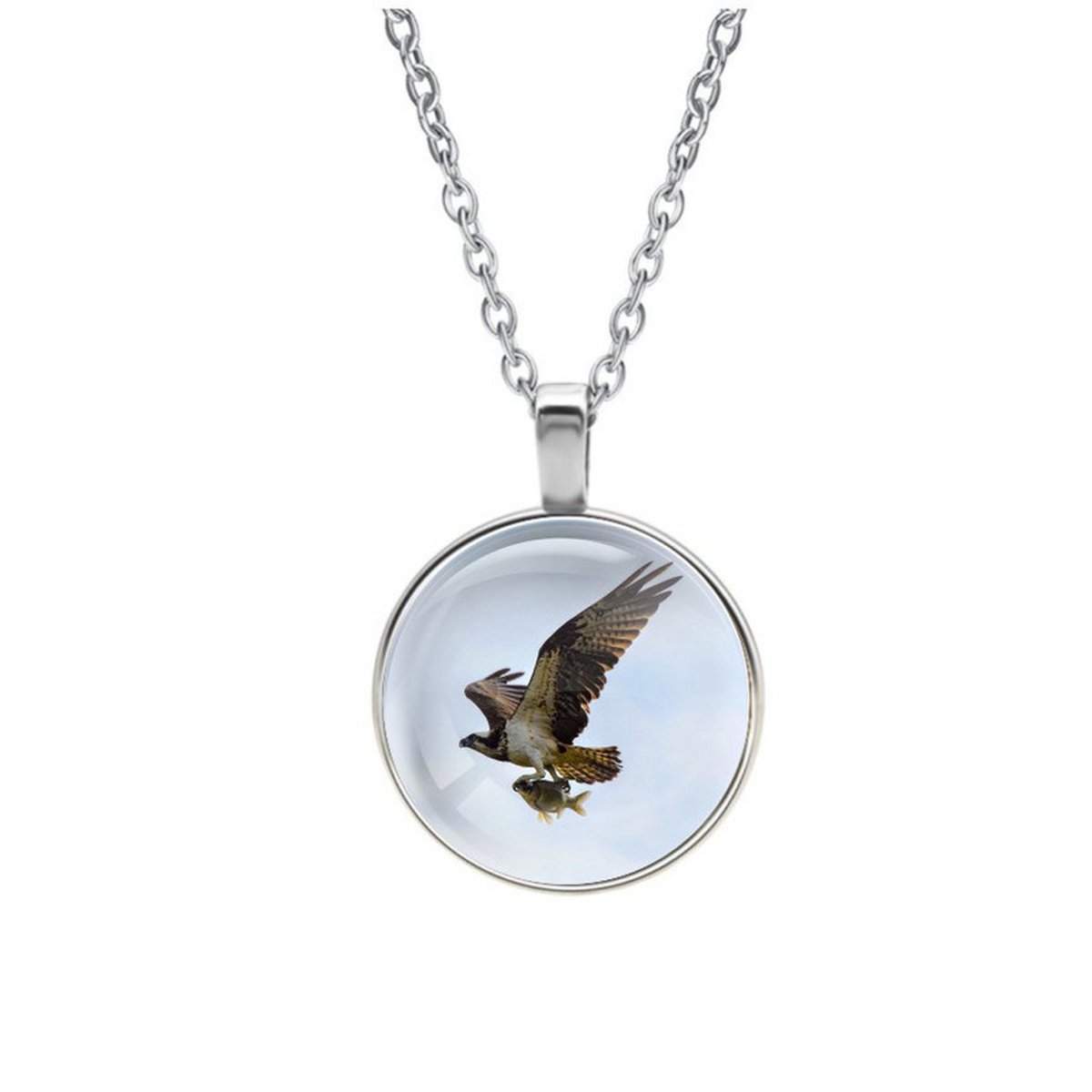 Ketting Glas - Roofvogel