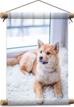 Poster Sur Toile Représentant Un Chien Shiba Inu - Décoration Murale