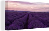 Canvas Schilderij Lavendel - Paars - Bloemen - Natuur - 40x20 cm - Wanddecoratie